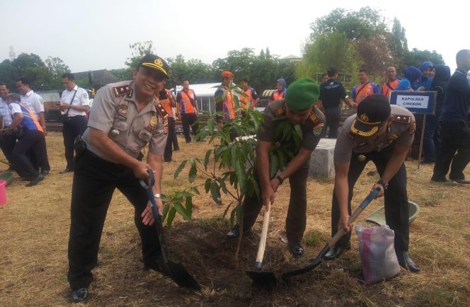
 Penanaman 122 Bibit Pohon Matoa Dan Mangga Di stasiun Parujakan