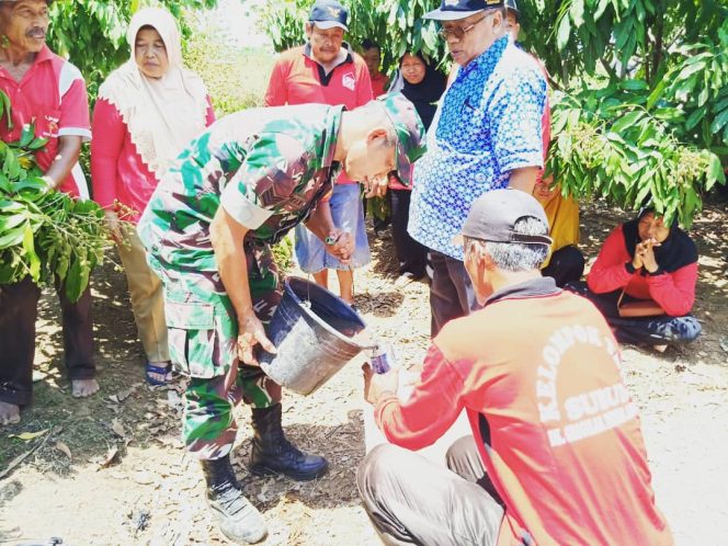 
 Babinsa Dan Petani Terima Sosialisasi Pembuatan Pupuk Cair Organik