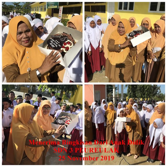 
 SDN No 3 Peureulak melaksanakan Upacara memperingati HGN