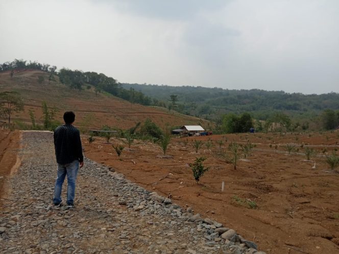 
 PT. Andalusia Salah Satu Perusahaan Kavling Yakinkan Pembeli Dengan Legalitas Kepemilikan Tanah