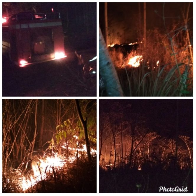 
 Kebakaran Lahan Pohon Jenjing di Kec Surade Kab Sukabumi