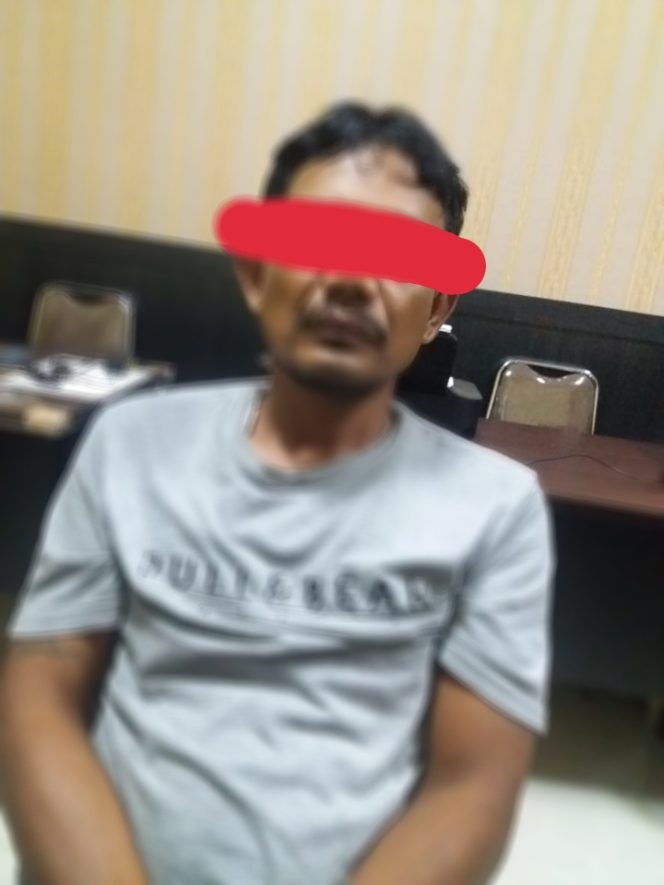 
 Sat Reskrim Polres Rohul Ungkap Dan Tangkap Seorang Diduga Pelaku Tindak Pidana Kepemilikan Senpi Tanpa Ijin