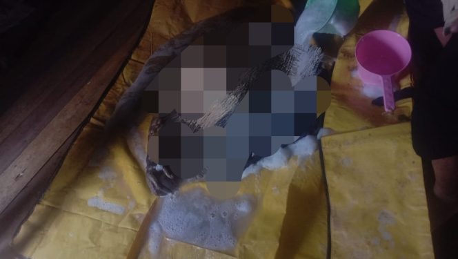 
 Warga Desa Pagar Bulan Kecamatan Rantau Bayur Kab Banyuasin, Tewas Dengan Kondisi Badan Yang Tak Utuh