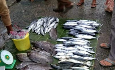 Teks: Ikan di Pasar Langsa