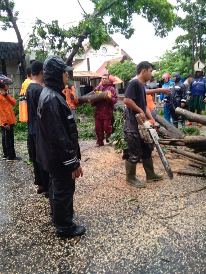 
 Bersihkan Pohon Tumbang, Wujud Kepedulian dan Terbentuknya Sinergitas TNI ( Babinsa) dengan Masyarakat Serta Pemerintahan