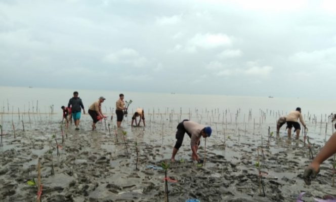 
 Sat Polair Polres Karawang Polda Jabar Tanam Pohon Dan Bersih – Bersih Pantai Berasal Pramuka Kwartir Ranting Tempuran