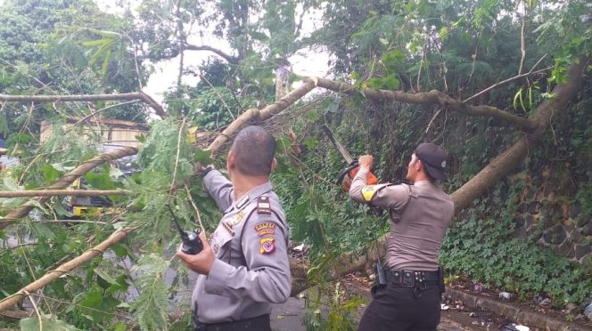 
 Satgas Bencana Alam Polres Sukabumi Kota Polda Jabar Evakuasi Pohon Tumbang