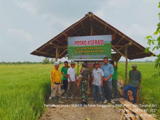 
 Pengerjaan Proyek Program SERASI Tahun 2019 Didesa Teluk Tenggulang Terlaksana Sesuai Harapan