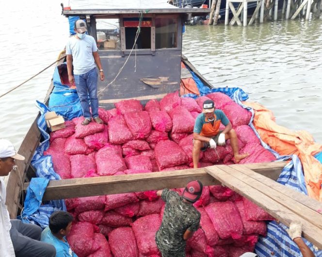 
 Operasi Jaring Bea Cukai Gagalkan Penyelundupan 13 Ton Bawang Merah Asal Thailand