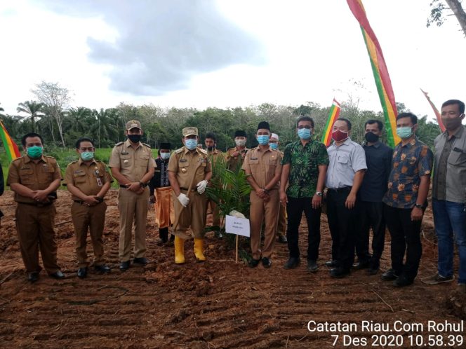 
 Hari Pertama Kerja, Bupati Rokan Hulu H.Sukiman Ikut Turun Penanaman Perdana Kebun Sawit Desa Rambah Hilir