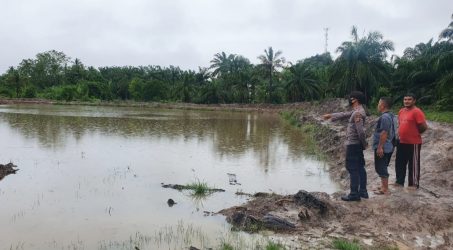 Foto : Lokasi tempat kejadian peristiwa.