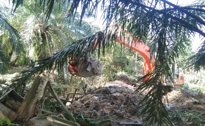 
 Banjir Langsa Disebabkan Saluran Tak Mampu Menampung Debit Air