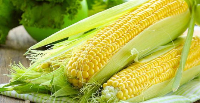 
 Sebagai Sumber Karbohidrat, Apa Saja Manfaat Jagung?