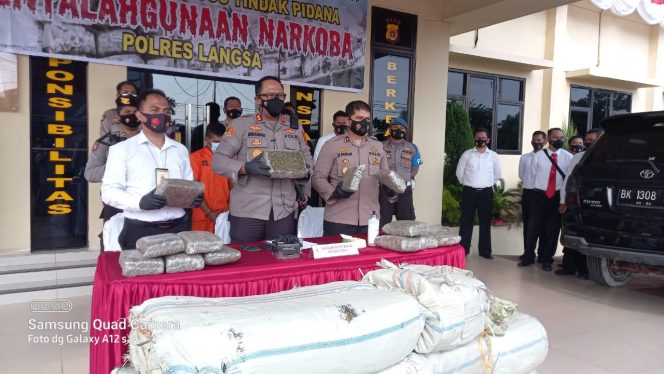 
 213 Kg Ganja Selundupan dari Gayo Lues Kandas di Polres Langsa