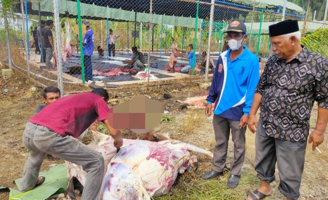 
 Gampong PB Teungoh Sembelih 20 Ekor Hewan Kurban