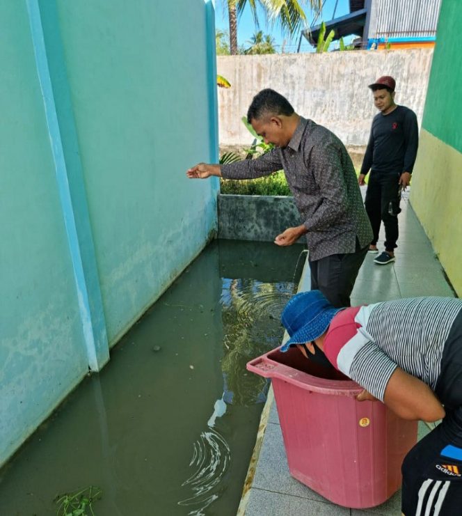 
 Manfaatkan Lahan Kosong, SMAN 4 Langsa Budidaya Gurame