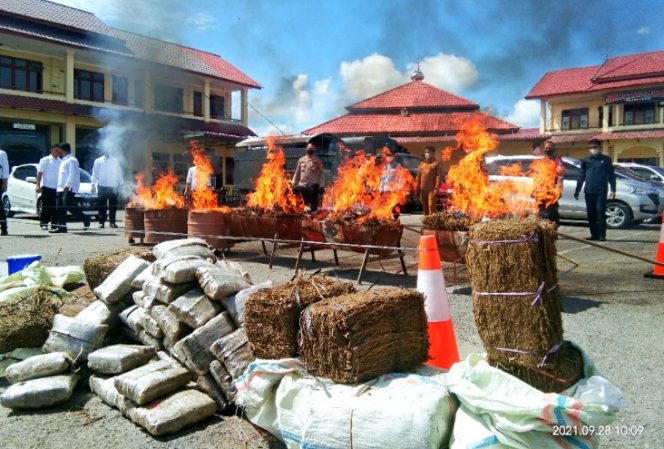 
 Polres Langsa Musnahkan BB Narkoba Sabu dan Ganja