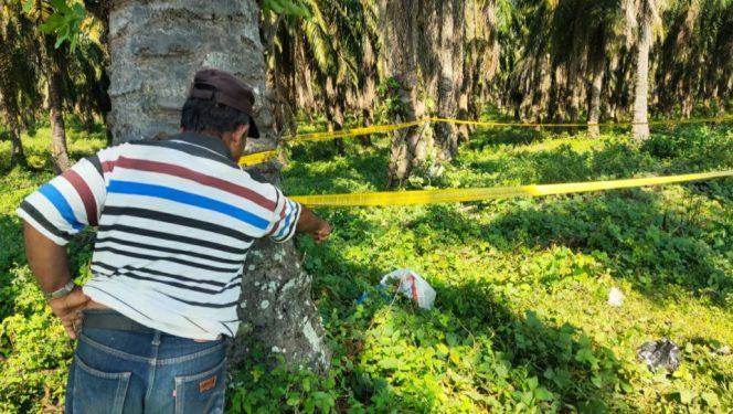 
 Warga Langsa Temukan Benda Mirip Mortir, Diduga Peninggalan Belanda