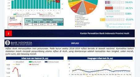 Foto : Statistik pertumbuhan ekonomi di Aceh oleh BI.