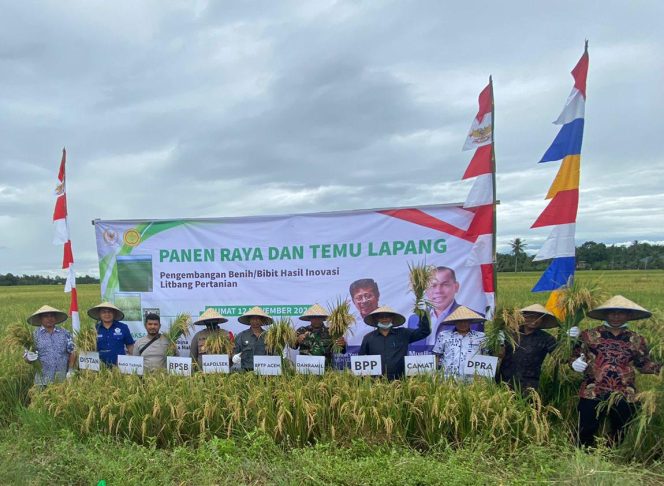 
 Muslim DPR RI Panen Raya dan Temu Lapang Padi Varitas Khusus di Aceh Utara