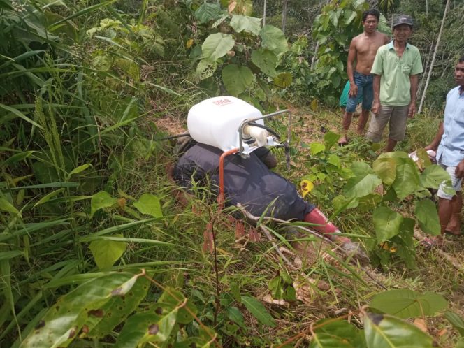 
 Seorang Petani di Tamiang Ditemukan Meninggal di Kebun Sawit
