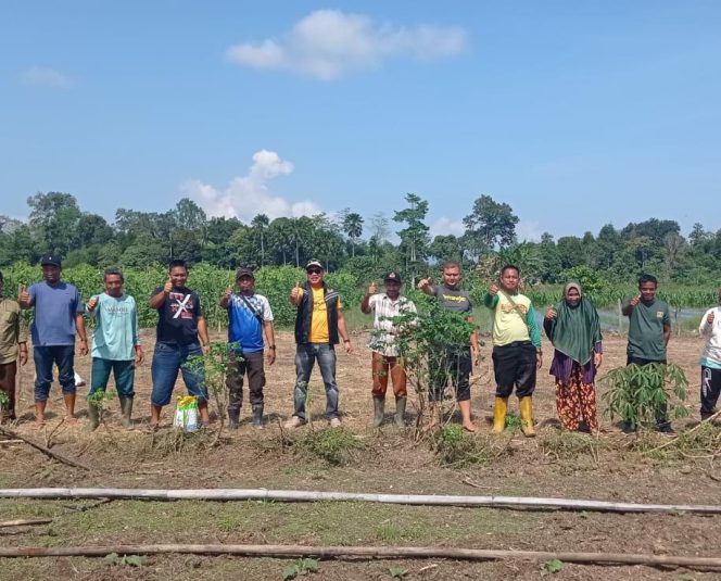 
 Ilham Pangestu Bagikan Bibit Jagung  dan Penanaman Perdana di Aceh Tamiang