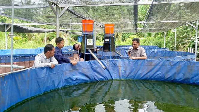 
 Foto : Tim PKM Unsam sedang Praktekkan alat pada kolam bioflok kelompok budidaya ikan.