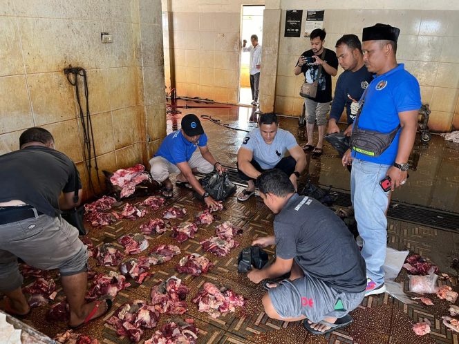 
 Kerjasama PWI dan Pemko Langsa Kurban Tiga Ekor Sapi