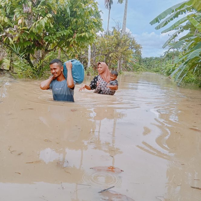 
 Banjir di Aceh Timur, 202 KK Terdampak