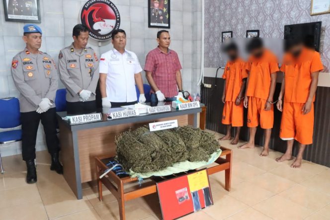 
 Hendak Transaksi 10 Kg Ganja, Tiga Warga Lhokseumawe Diciduk di Langsa