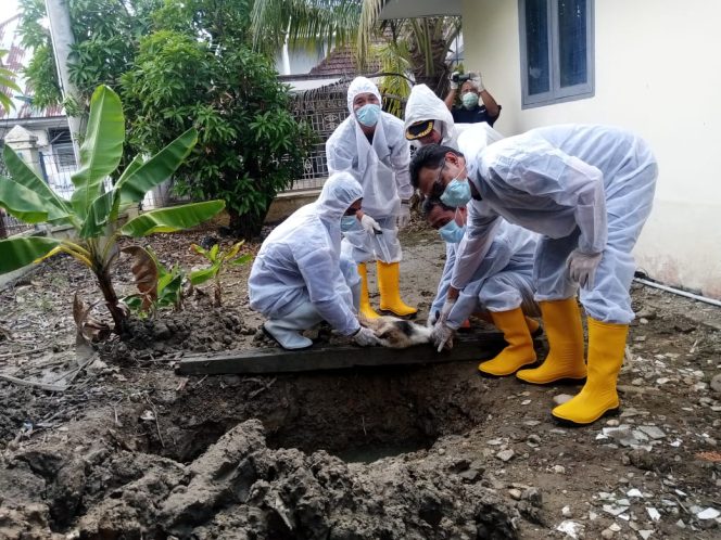
 Bea Cukai Langsa Sembelih Kambing dan Bakar Rokok Ilegal