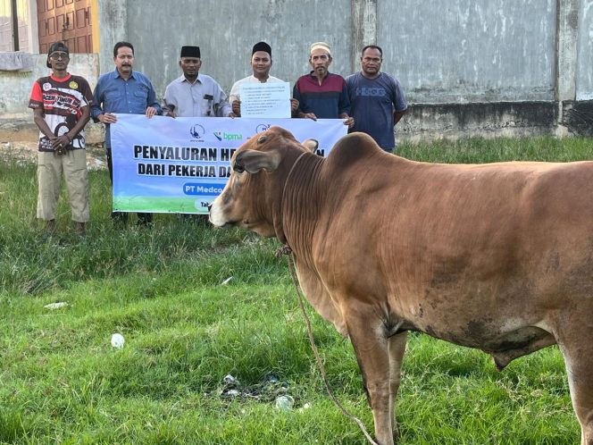 
 Pekerja dan Kontraktor Medco E&P Salurkan 39 Hewan Kurban, Ratusan Masyarakat Lingkar Operasional Terima Manfaat