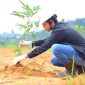 Karyawan PT Medco E&P Malaka melakukan penanaman pohon di lingkungan terdampak banjir di Aceh Timur.