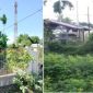 Tanah kuburan, salah satu Aset Aceh Timur di Kota Langsa yang dimintai untuk membayar kompensasi. Lokasi di belakang Poskesdes Gampong Sidorejo Kecamatan Langsa Lama.